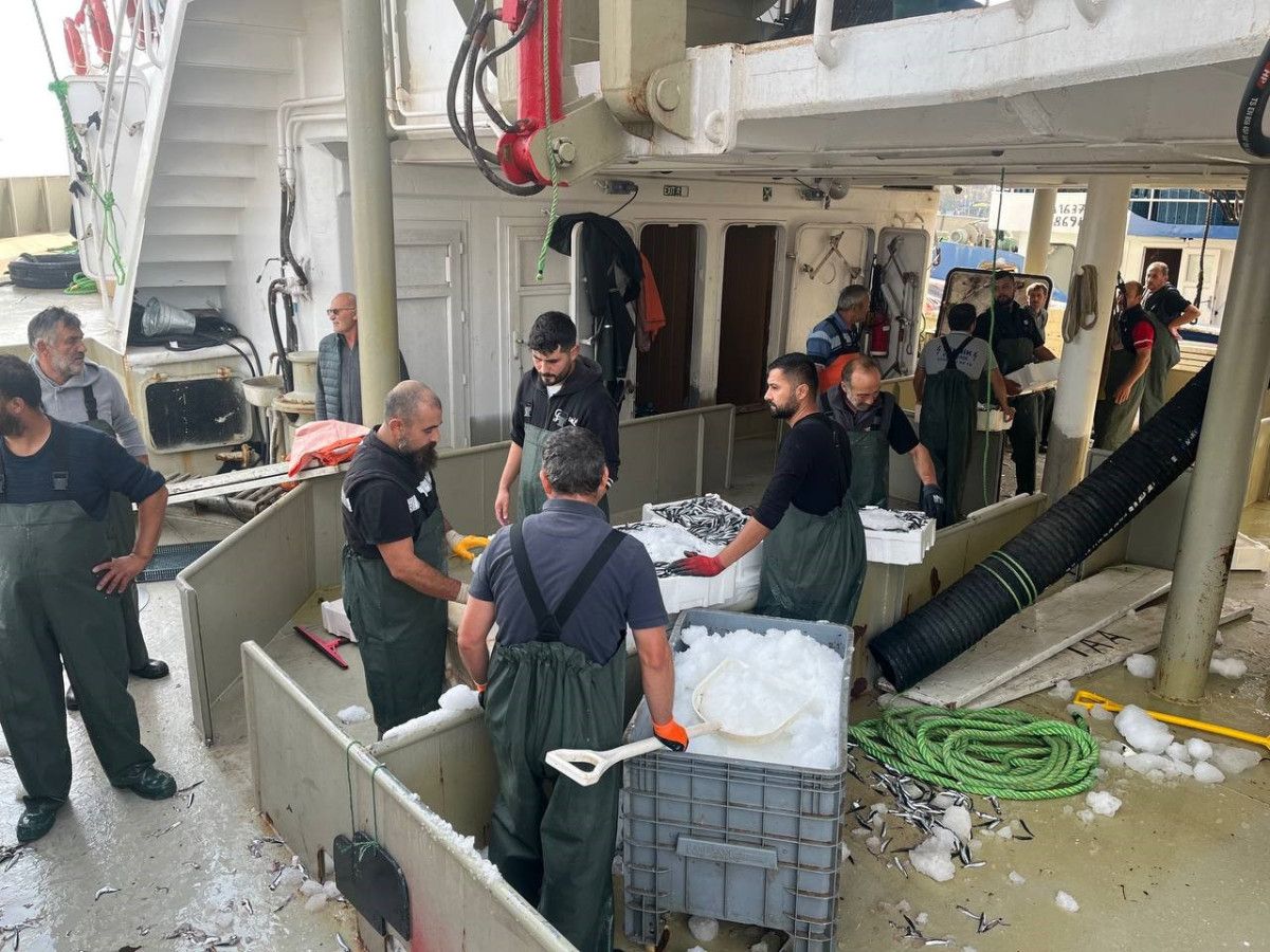 Karadeniz'de hamsi bolluğu: Kilosu 100- 150 TL'ye kadar düştü 1 Karadeniz'de hamsi bolluğu: Kilosu 100- 150 TL'ye kadar düştü