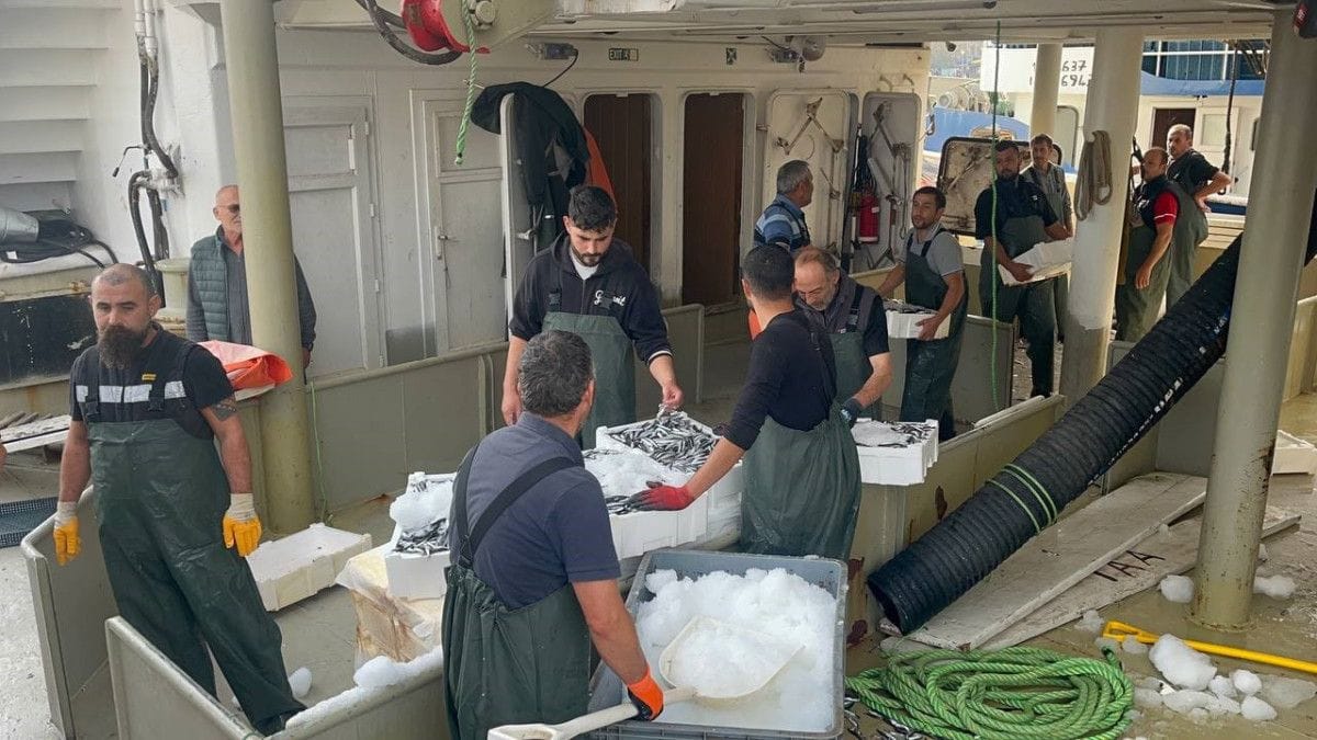 Karadeniz'de hamsi bolluğu: Kilosu 100- 150 TL'ye kadar düştü 2 Karadeniz'de hamsi bolluğu: Kilosu 100- 150 TL'ye kadar düştü