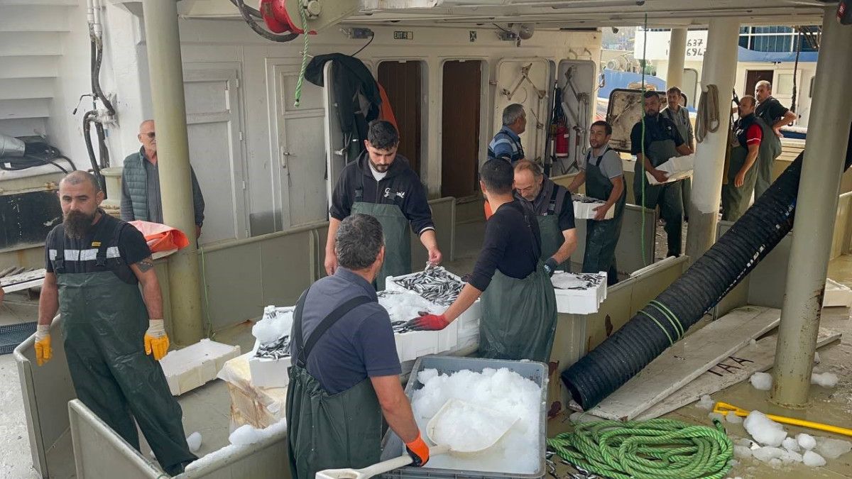 Karadeniz'de hamsi bolluğu: Kilosu 100- 150 TL'ye kadar düştü 2 Karadeniz'de hamsi bolluğu: Kilosu 100- 150 TL'ye kadar düştü