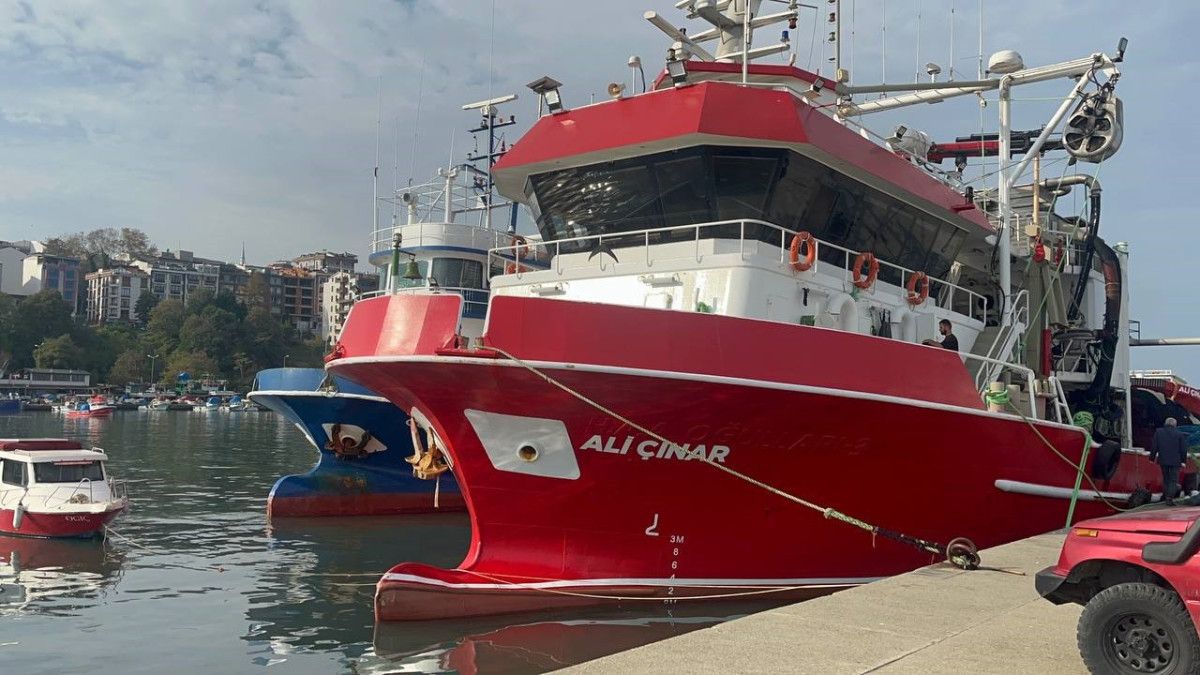 Karadeniz'de hamsi bolluğu: Kilosu 100- 150 TL'ye kadar düştü 3 Karadeniz'de hamsi bolluğu: Kilosu 100- 150 TL'ye kadar düştü