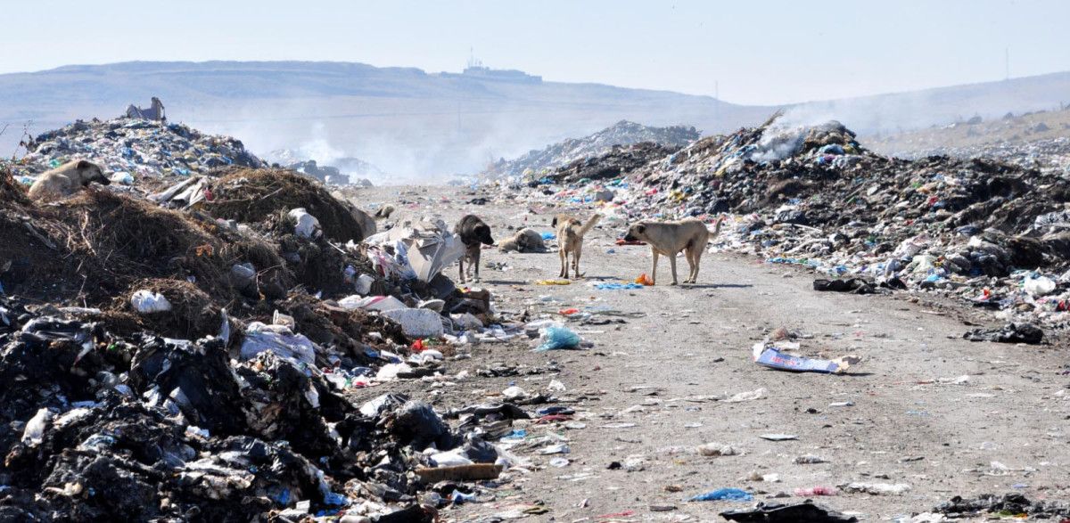 Kars’ta mahalleliden çöp tepkisi: Mahallece ölüyoruz