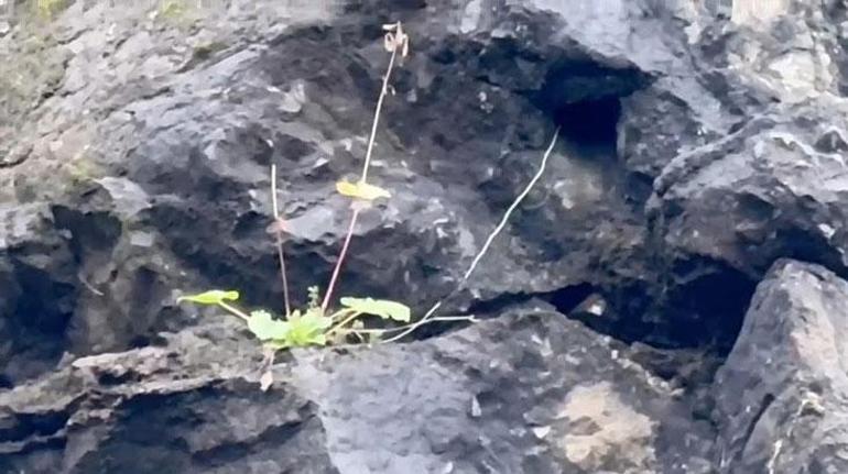 Kayalardan sarkan kablolar paniğe neden oldu! Sebebinin 19 yıl önceye dayandığı ortaya çıktı 2 Kayalardan sarkan kablolar paniğe neden oldu! Sebebinin 19 yıl önceye dayandığı ortaya çıktı