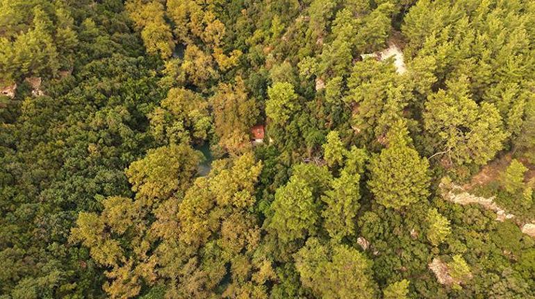 Kenan Evren'in Gizli Köşkü: Ünlü Sanatçıyla Helikopterle Yaptığı Tek Ziyaret