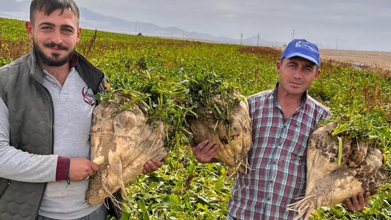 Konya’da hasada giden çiftçiler sürpriz ile karşılaştı: Tam 24 kilo…