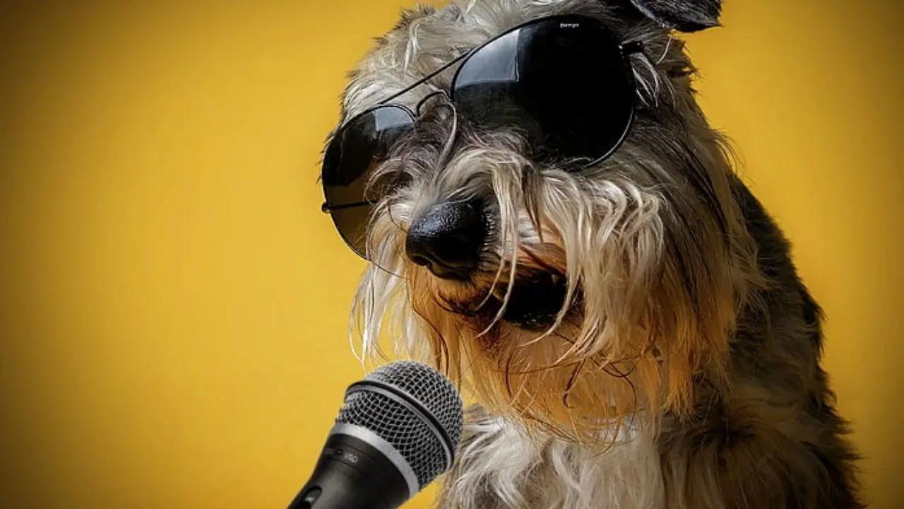 Köpeklerin Konuşma Yeteneği Üzerine Yenilikçi Araştırma