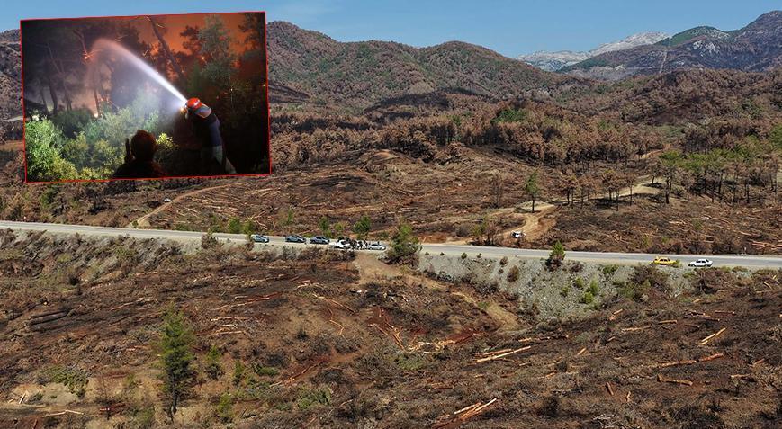 Köyceğiz’deki yanan 2 bin 403 hektar alanda ağaçlandırma için hazırlıklar devam ediyor