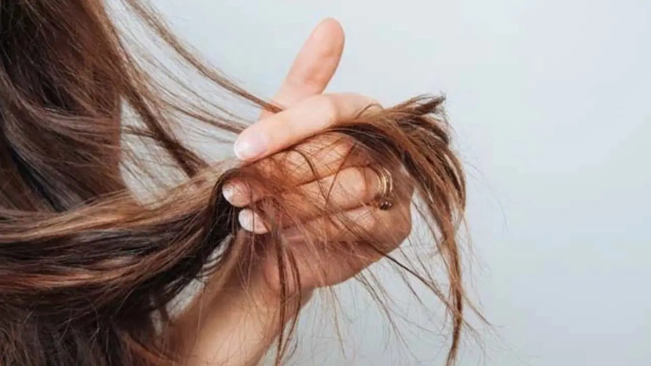 Kuruluk, yağlanma, dökülme… Saç deriniz sağlığınızın habercisi olabilir! 1 Kuruluk, yağlanma, dökülme… Saç deriniz sağlığınızın habercisi olabilir!