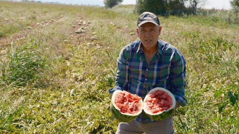 Londra'daki lokantalarını bırakıp, memleketinden bin dönüm arazi aldı: Nisandan eylüle kadar üretip kazanıyoruz