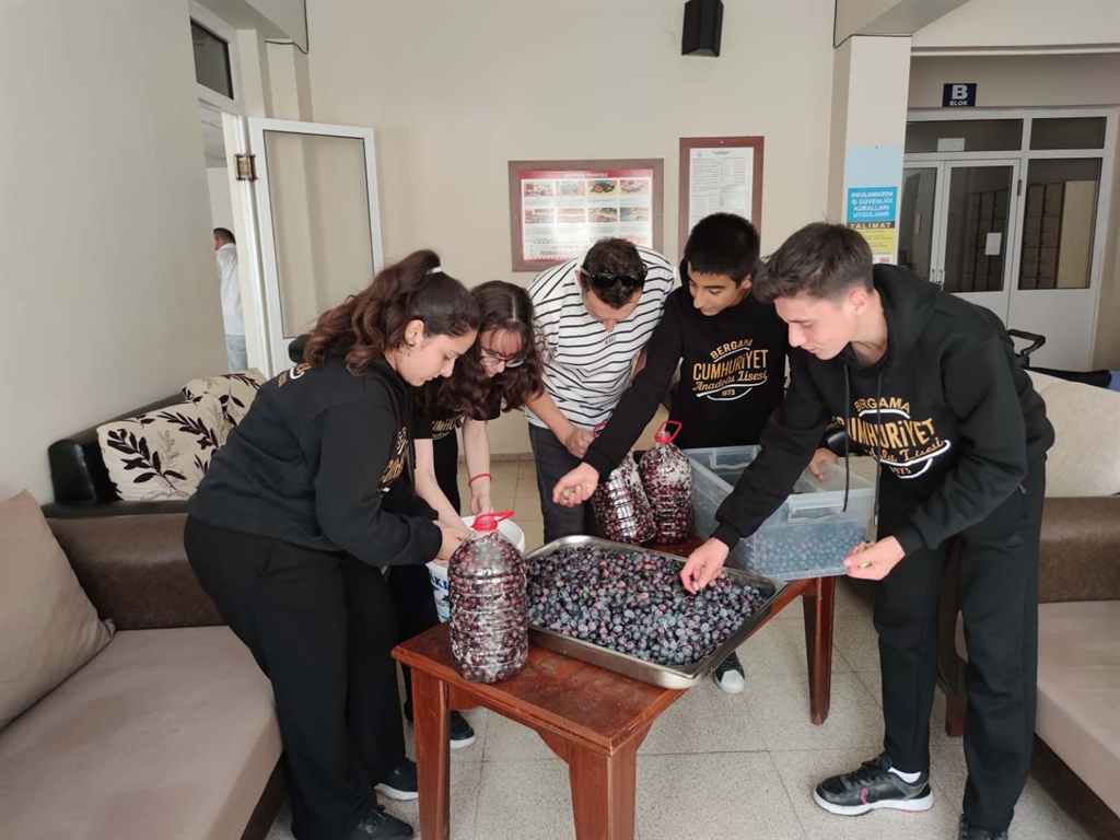 MEB'in 'Yeşil Vatan' Projesi hayat buldu: Zeytinler kışlık kahvaltılığa dönüştü!