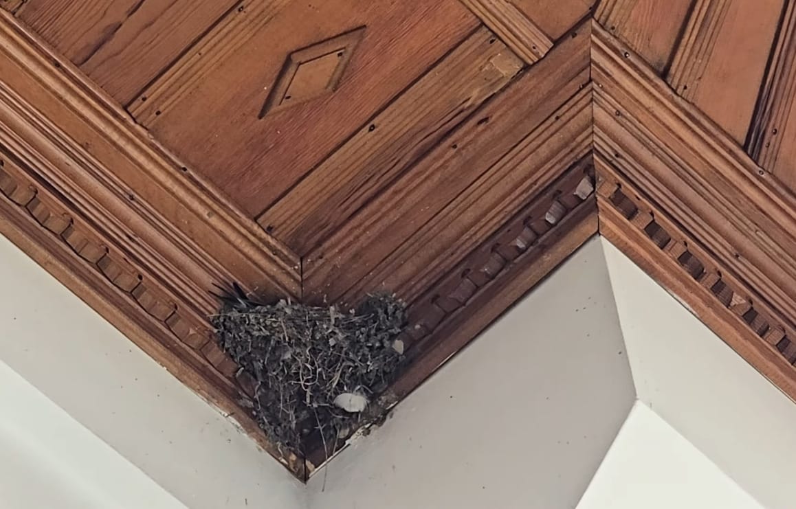 Muğla'da Doğal Sit Alanlarına Yönelik Talana Son! Çevrecilerin Kararlılığı Gurur Veriyor 4 Muğla'da Doğal Sit Alanlarına Yönelik Talana Son! Çevrecilerin Kararlılığı Gurur Veriyor