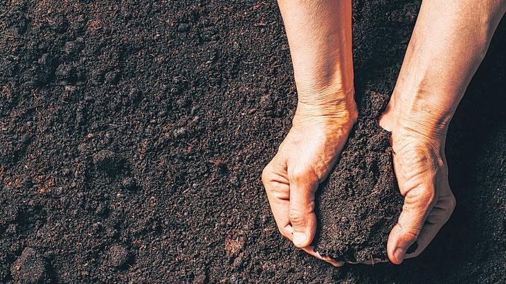 Nadir Toprak Elementleri: Modern Hayatın Gizli Kahramanları