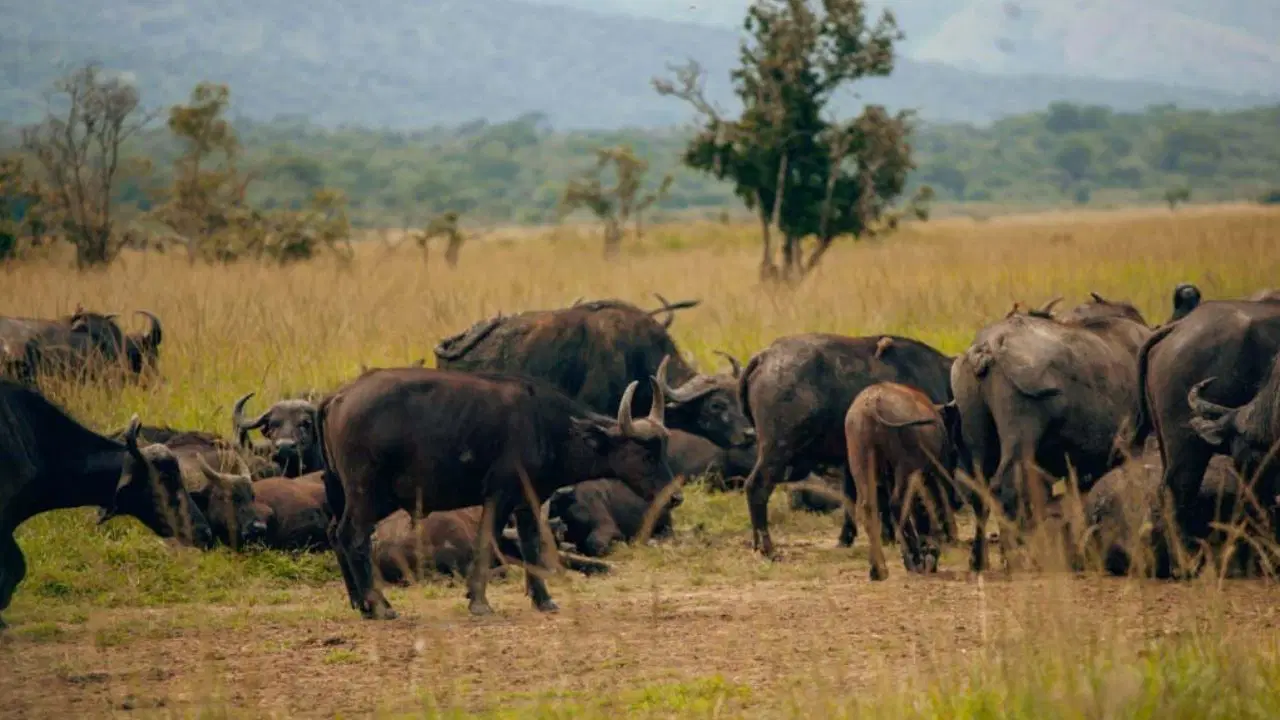 National Geographic dünyanın en iyi 25 rotasını açıkladı: Listede Türkiye'den de yer var 1 National Geographic dünyanın en iyi 25 rotasını açıkladı: Listede Türkiye'den de yer var