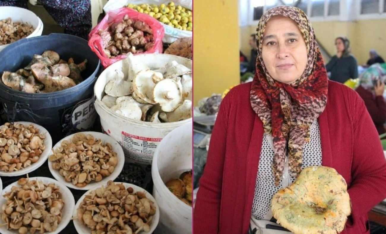 Ormandan kova kova topladı, geçim kaynağı oldu: Kilosu 400 liradan satılıyor! 1 Ormandan kova kova topladı, geçim kaynağı oldu: Kilosu 400 liradan satılıyor!