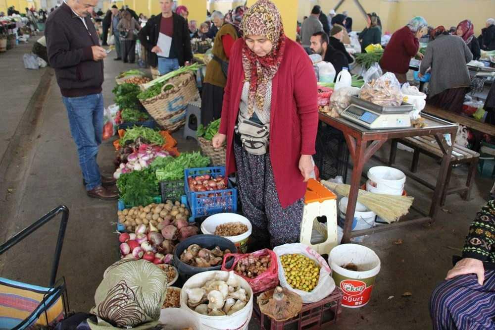 Ormandan kova kova topladı, geçim kaynağı oldu: Kilosu 400 liradan satılıyor! 2 Ormandan kova kova topladı, geçim kaynağı oldu: Kilosu 400 liradan satılıyor!