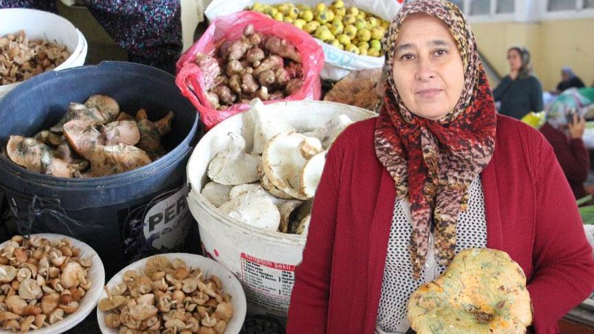Ormandan kova kova toplayıp, pazarda 400 liraya satıyorlar! ‘Etle başa baş gider’
