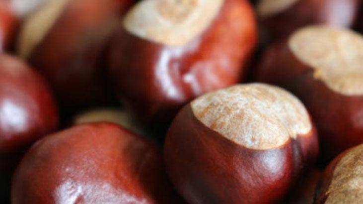 Rutubet ve Güvelere Son: Ukraynalıların Kestane ile Dolap Yöntemi