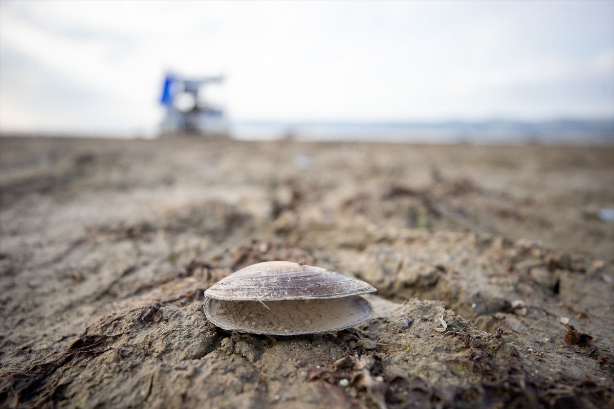 Sapanca Gölü'nde doluluk son yağışlara rağmen istenilen seviyeye ulaşmadı