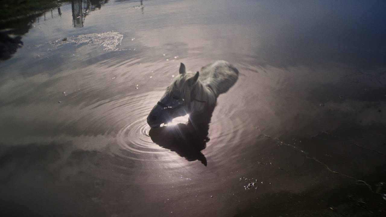 Selanik'te film şöleni