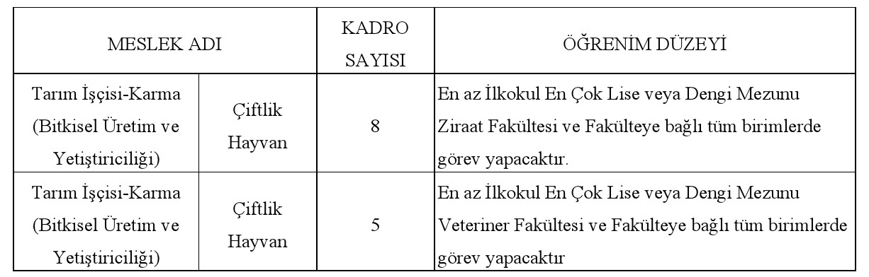 Selçuk Üniversitesi 13 İşçi Alacak