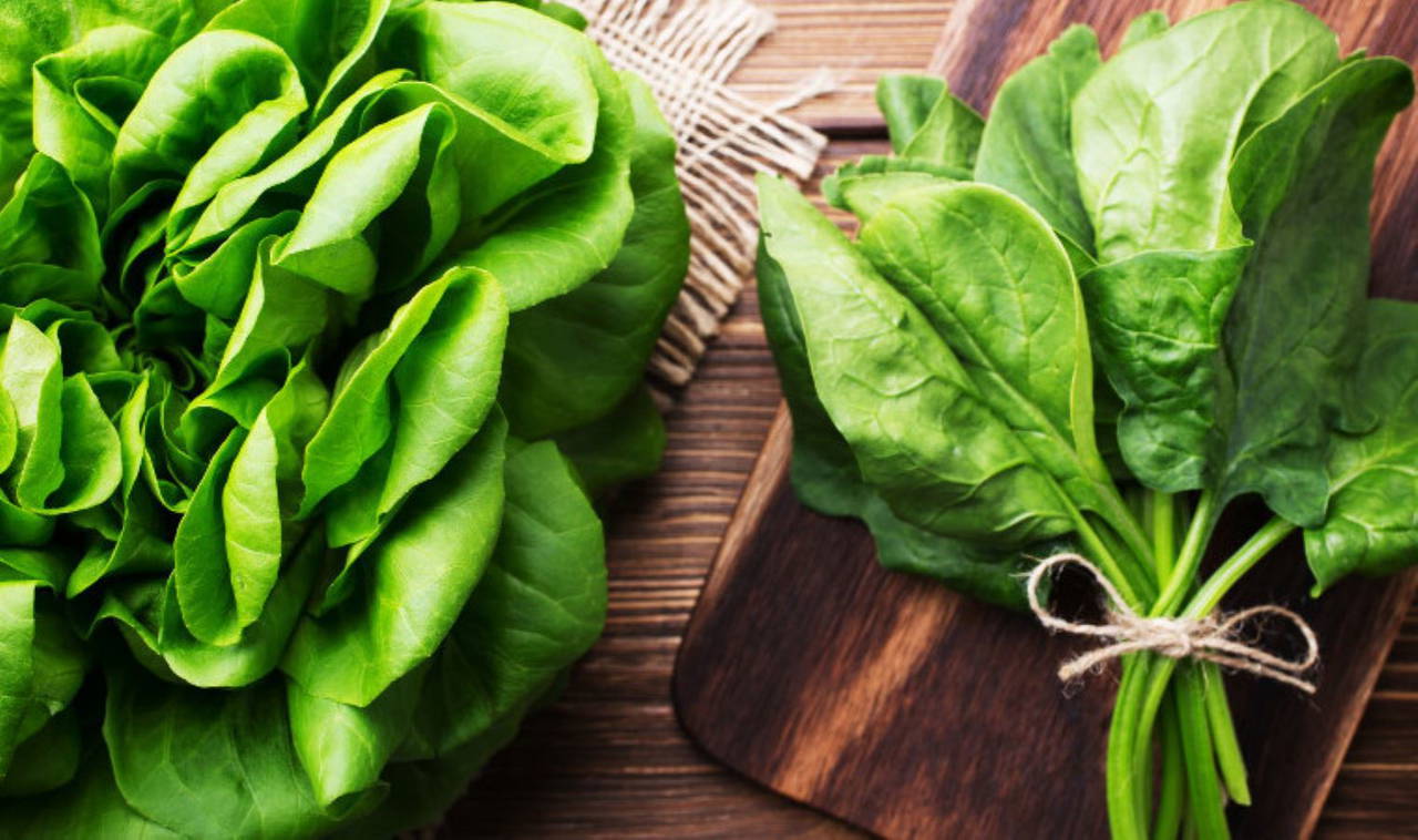 Soğuk havalarda taze ürünlere ulaşmanın en keyifli yolu: Sonbaharda saksıda yetiştirebileceğiniz 6 sebze 1 Soğuk havalarda taze ürünlere ulaşmanın en keyifli yolu: Sonbaharda saksıda yetiştirebileceğiniz 6 sebze