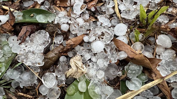 SON DAKİKA! Meteoroloji ve bakanlık uyardı! 17 ile kuvvetli sağanak geliyor