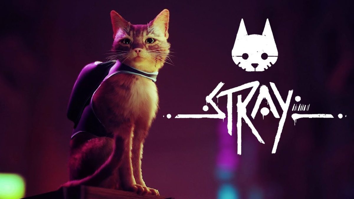 Stray: PS Plus Essential’da Kalıcı Dönüş ve Kasım Planları 1 Stray: PS Plus Essential’da Kalıcı Dönüş ve Kasım Planları
