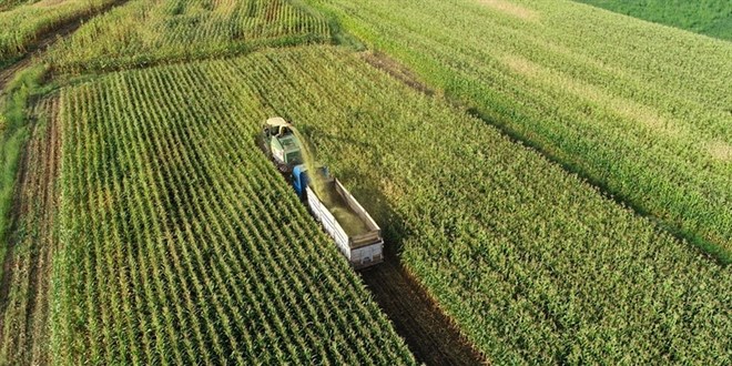Tarım sigortalarında bu yıl rekor hasar!