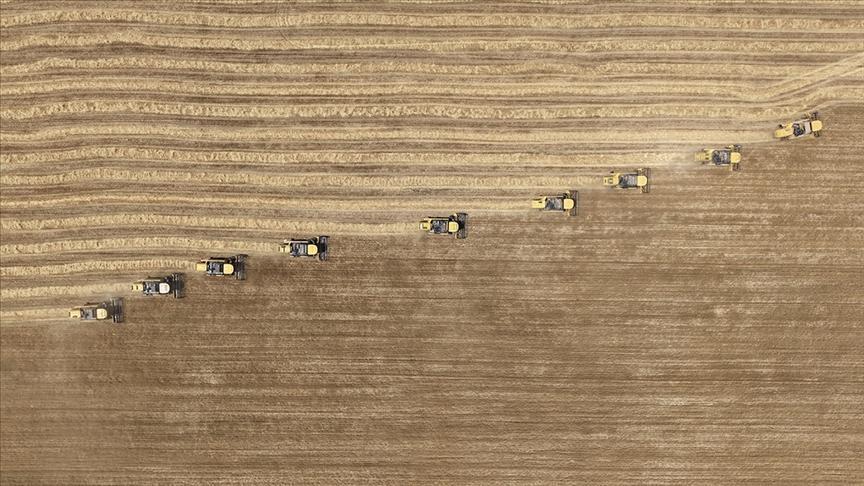 Tarımsal girdi fiyat endeksi ağustosta arttı