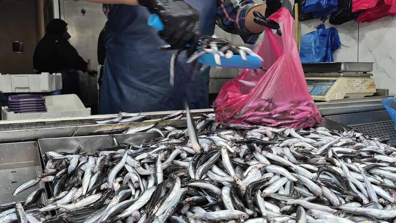 Tezgâhın Şampiyonu: Kilosu 100 TL’ye Düşerek Vazgeçmiyor!