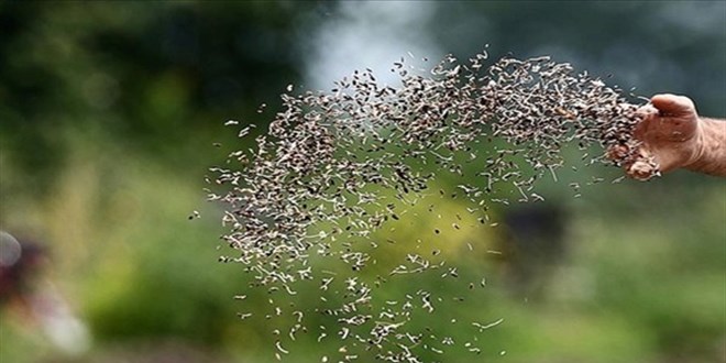 Tohumculuğun Zirveye Yürüyüşü Sürüyor!