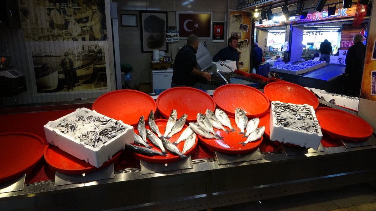 Trabzon'da Palamut Sezonu Başlamadan Tükendi: Balık Avcıları Üzüntü İçinde