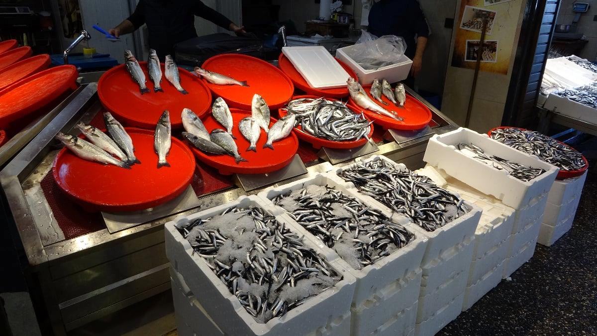 Trabzon’da Palamut Sezonu Başlamadan Tükendi: Balık Avcıları Üzüntü İçinde