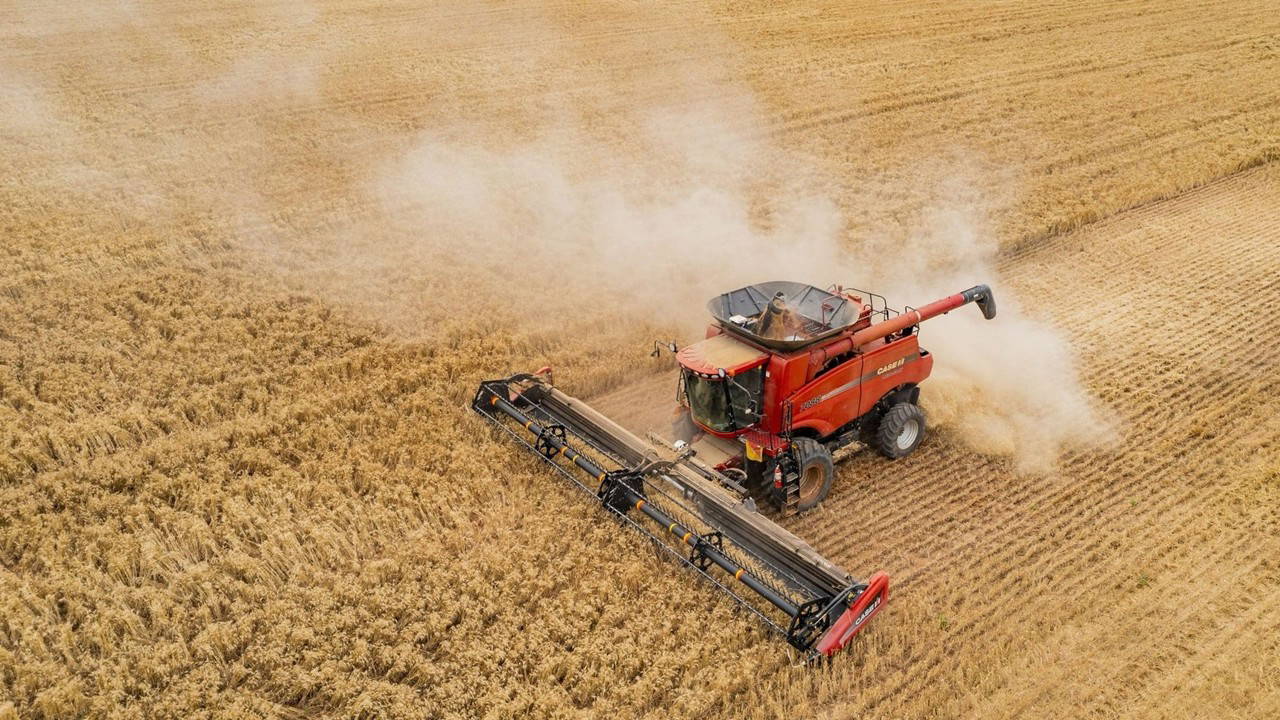 TÜİK verileri açıklandı: Meyve ve tahılda büyük üretim düşüşü bekleniyor!