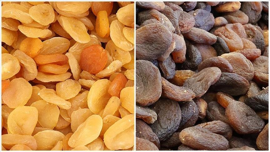 Türkiye’den 217 milyon dolarlık kuru kayısı ihraç edildi