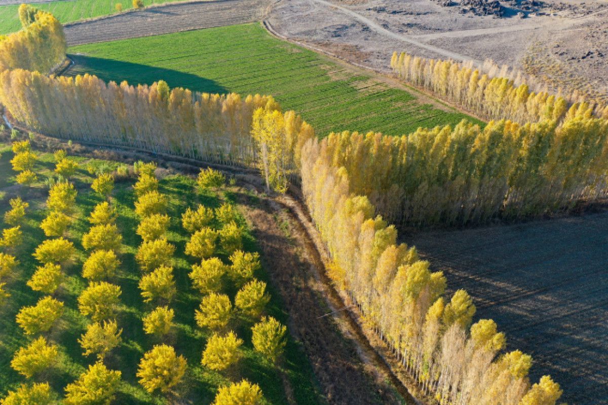 Türkiye'nin Gözbebeği: Yurt Dışını Aratmayan Güzellikler 2 Türkiye'nin Gözbebeği: Yurt Dışını Aratmayan Güzellikler
