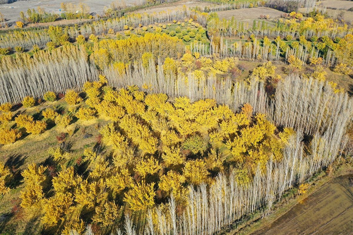 Türkiye'nin Gözbebeği: Yurt Dışını Aratmayan Güzellikler 4 Türkiye'nin Gözbebeği: Yurt Dışını Aratmayan Güzellikler