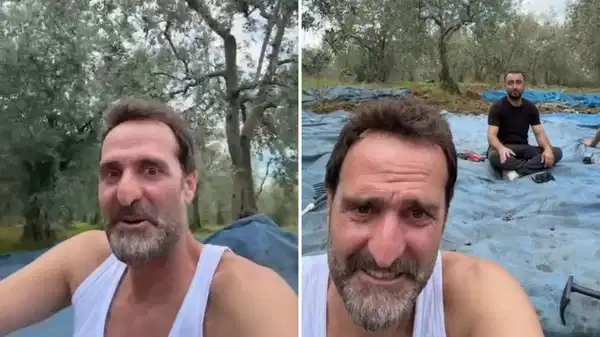 Ünlü oyuncu Timur Acar İznik’te arsa aldı, ilk zeytin hasadını yaptı