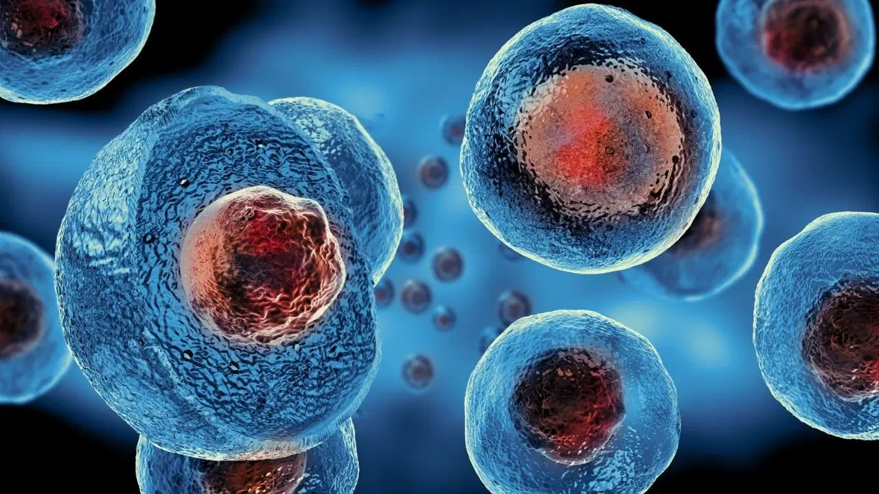 Virüsler böyle yayılıyor olabilir: “Ölümün ayak izi” keşfedildi 1 Virüsler böyle yayılıyor olabilir: “Ölümün ayak izi” keşfedildi