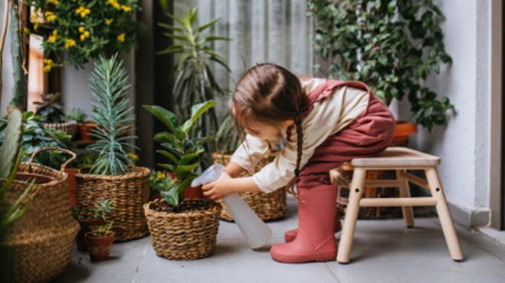 Yapraklar açılmıyor mu? Kağıt havlu taktiği bitkileri anında canlandırıyor 7 Yapraklar açılmıyor mu? Kağıt havlu taktiği bitkileri anında canlandırıyor