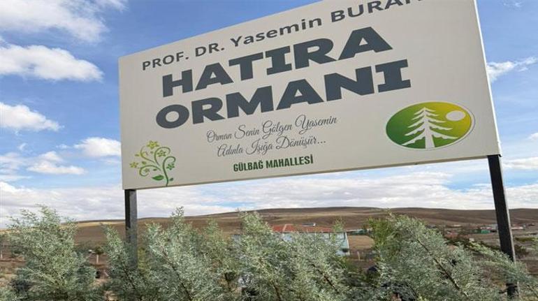 Yurt dışında seyahatteyken ailesi ile hayatını kaybetmişti! Prof. Çırak için hatıra ormanı 1 Yurt dışında seyahatteyken ailesi ile hayatını kaybetmişti! Prof. Çırak için hatıra ormanı