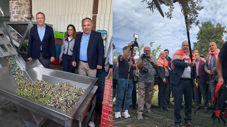 Zeytinyağı başkentinde Hasat ve Turizm Festivali! 506 milyon dolar gelir