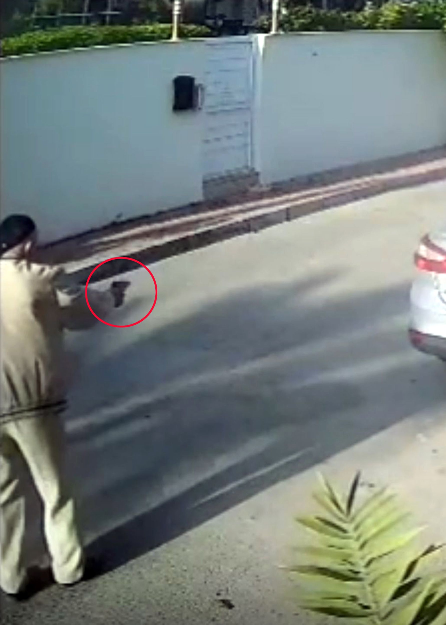 12 Yıldır Mahalleyi Sahiplenmiş Köpeği Katleden Emekli Polise Yakalama Emri!