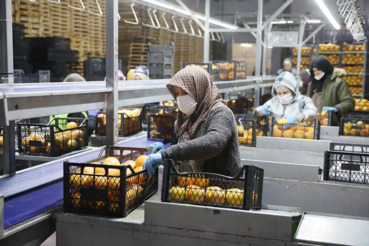 25 ülkeye ihracat yapıyordu! Türkiye’nin besin devi iflasın eşiğinde