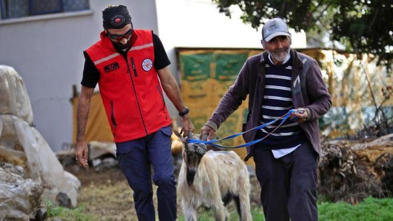 3 keçisini kurtlara kaptıran çobanın yürek burkan anı: 'Dört gündür oradaydı' 1 3 keçisini kurtlara kaptıran çobanın yürek burkan anı: 'Dört gündür oradaydı'