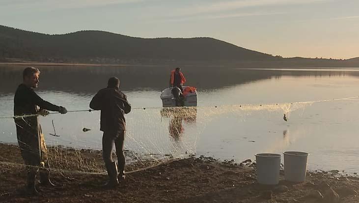 5 bin metrelik kaçak ağa baskın! Seben Göleti’nde 500 balık kurtarıldı