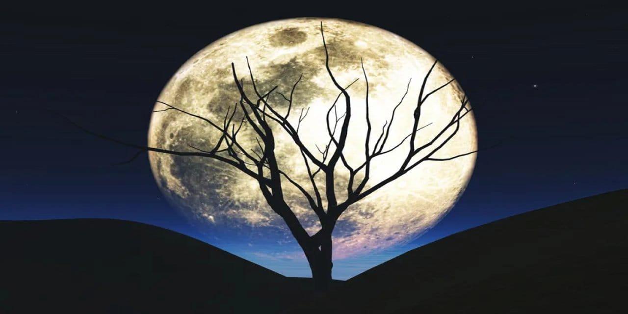 5 Kasım Boğa Burcundaki Dolunay: Değişim Zamanı!