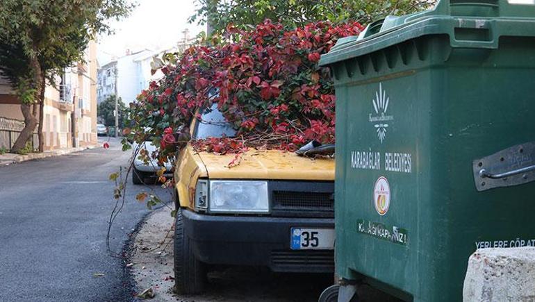 8 yıldır sarmaşıkların arasında kaybolmuştu! İzmir’deki gizemli araba için harekete geçildi
