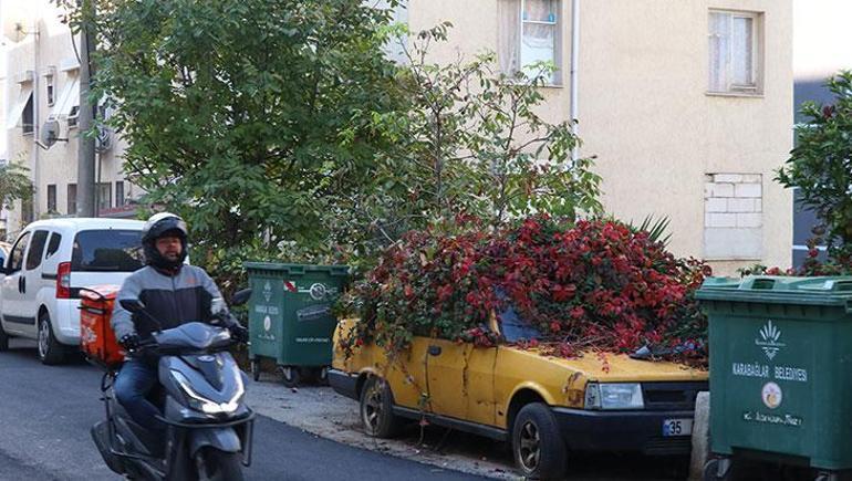 8 yıldır sarmaşıkların arasında kaybolmuştu! İzmir’deki gizemli araba için harekete geçildi