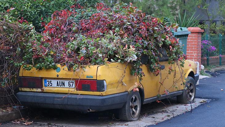 8 yıldır sarmaşıkların arasında kaybolmuştu! İzmir’deki gizemli araba için harekete geçildi