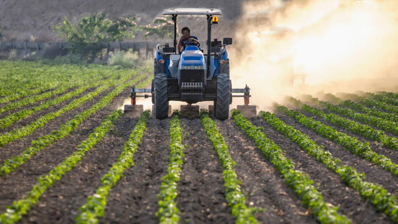 ABD’den o ziraî eserlere gümrük vergisi muafiyeti…